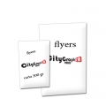 FLYERS 10X15
