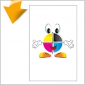 LOCANDINE