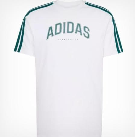 T-shirt manica corta uomo m c colleg tee Adidas