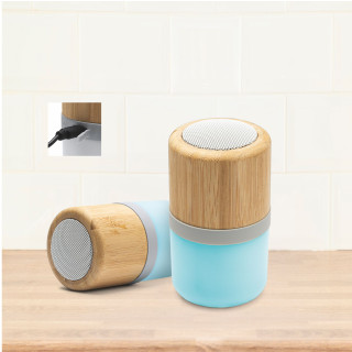 Speaker Wireless