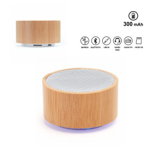Speaker Wireless Abs