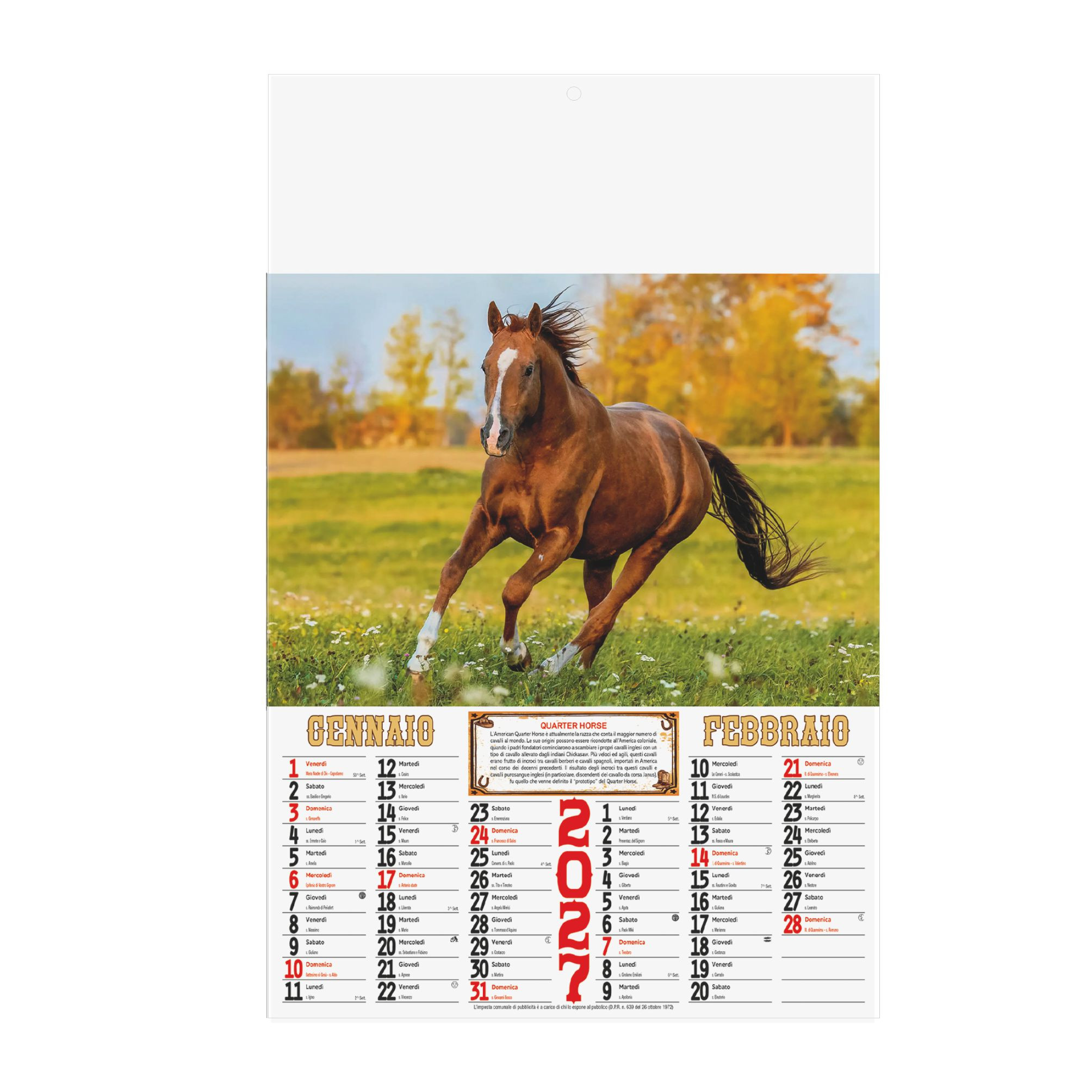 Calendario Illustrato