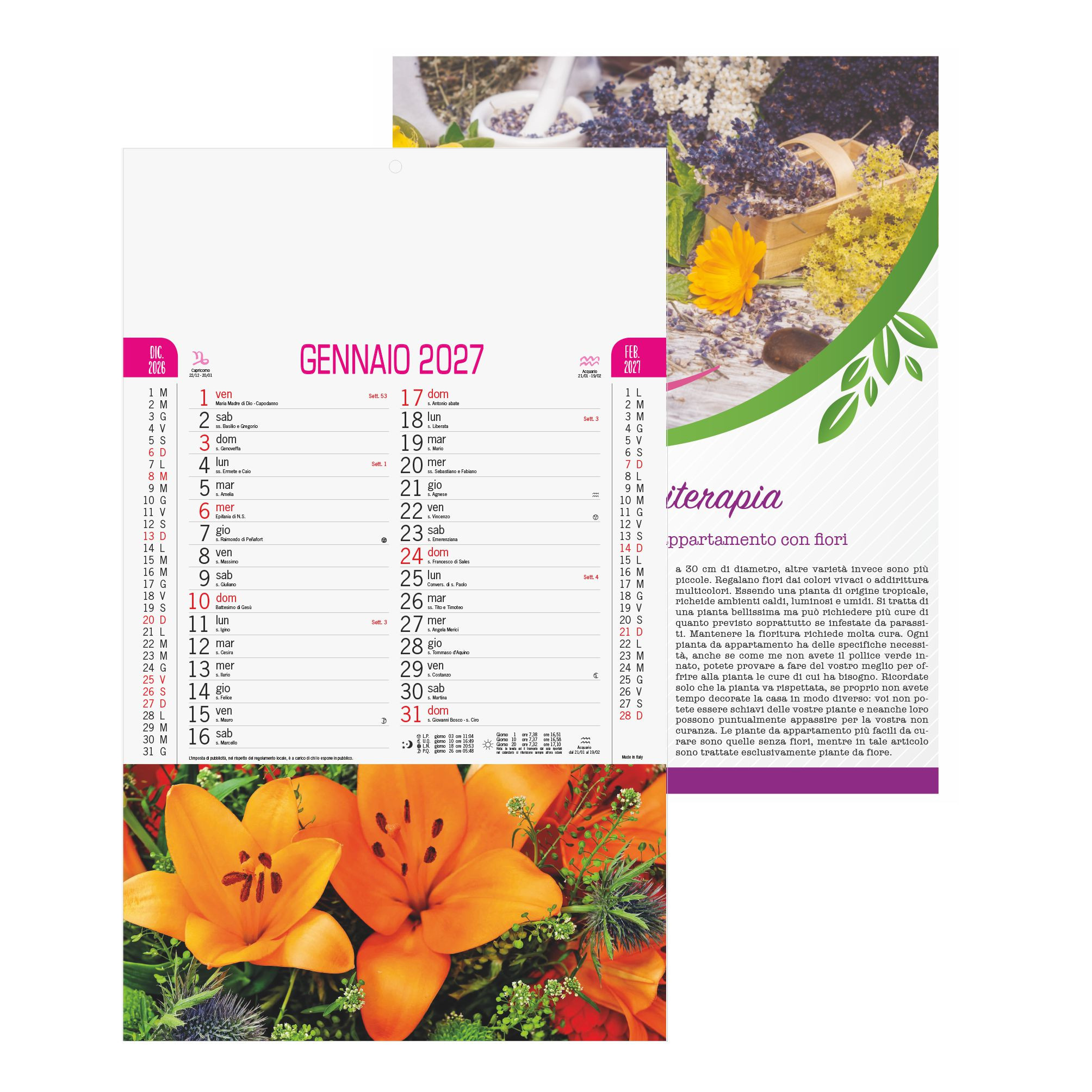 Calendario Illustrato